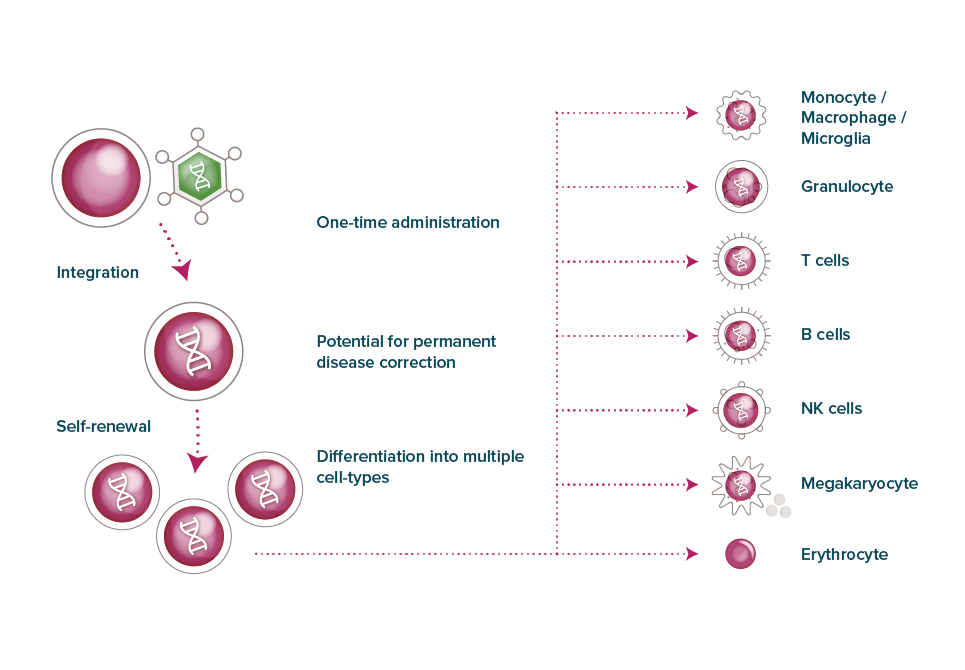 Gene therapy comes in many forms - Orchard Therapeutics